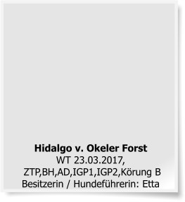 Hidalgo v. Okeler ForstWT 23.03.2017,  ZTP,BH,AD,IGP1,IGP2,K�rung BBesitzerin / Hundef�hrerin: Etta