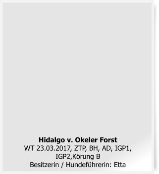 Hidalgo v. Okeler ForstWT 23.03.2017, ZTP, BH, AD, IGP1, IGP2,K�rung BBesitzerin / Hundef�hrerin: Etta