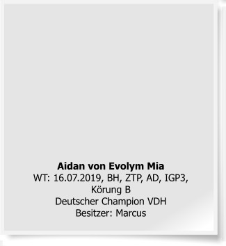 Aidan von Evolym Mia WT: 16.07.2019, BH, ZTP, AD, IGP3, K�rung B Deutscher Champion VDHBesitzer: Marcus