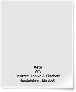 Veto WT: Besitzer: Annika & Elisabeth Hundef�hrer: Elisabeth