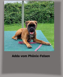 Adda vom Ph�nix-Felsen