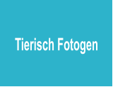 Tierisch Fotogen