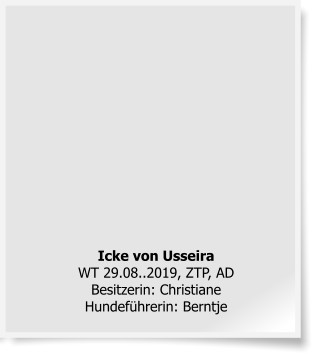 Icke von UsseiraWT 29.08..2019, ZTP, ADBesitzerin: Christiane Hundef�hrerin: Berntje