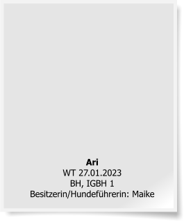 AriWT 27.01.2023  BH, IGBH 1Besitzerin/Hundef�hrerin: Maike