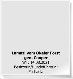 Lamazi vom Okeler Forstgen. CooperWT: 14.08.2021Besitzerin/Hundeführerin:Michaela