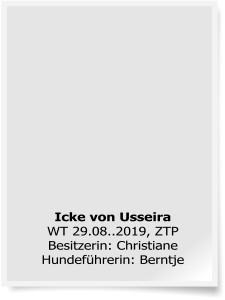Icke von UsseiraWT 29.08..2019, ZTPBesitzerin: Christiane Hundeführerin: Berntje