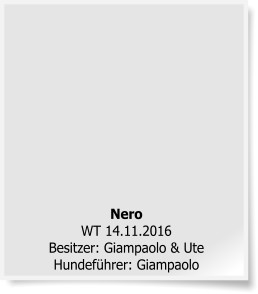 NeroWT 14.11.2016Besitzer: Giampaolo & UteHundeführer: Giampaolo