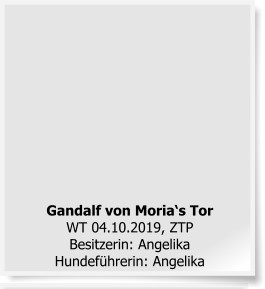 Gandalf von Moria‘s TorWT 04.10.2019, ZTPBesitzerin: AngelikaHundeführerin: Angelika