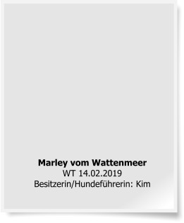 Marley vom WattenmeerWT 14.02.2019 Besitzerin/Hundeführerin: Kim