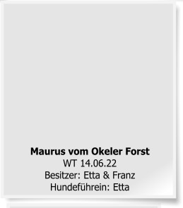 Maurus vom Okeler Forst  WT 14.06.22Besitzer: Etta & FranzHundeführein: Etta