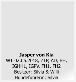 Jasper von KiaWT 02.05.2018, ZTP, AD, BH, IGHH1, IGPV, FH1, FH2Besitzer: Silvia & Willi Hundeführerin: Silvia