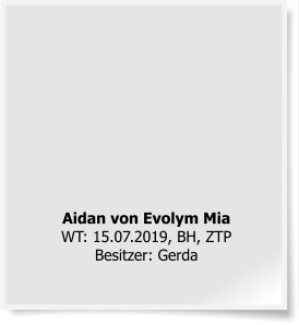 Aidan von Evolym Mia WT: 15.07.2019, BH, ZTPBesitzer: Gerda