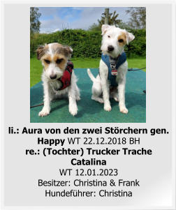 li.: Aura von den zwei Störchern gen. Happy WT 22.12.2018 BHre.: (Tochter) Trucker Trache Catalina WT 12.01.2023Besitzer: Christina & FrankHundeführer: Christina