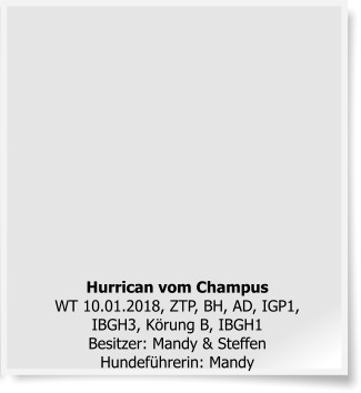 Hurrican vom ChampusWT 10.01.2018, ZTP, BH, AD, IGP1, IBGH3, Körung B, IBGH1Besitzer: Mandy & Steffen Hundeführerin: Mandy
