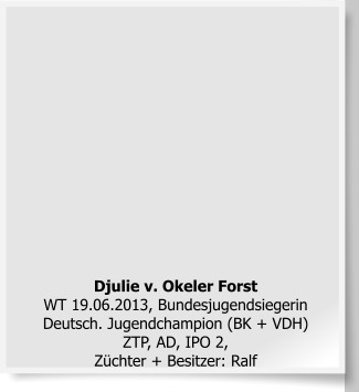 Djulie v. Okeler ForstWT 19.06.2013, Bundesjugendsiegerin Deutsch. Jugendchampion (BK + VDH) ZTP, AD, IPO 2, Züchter + Besitzer: Ralf