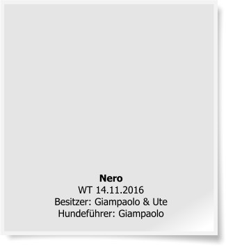 NeroWT 14.11.2016Besitzer: Giampaolo & UteHundeführer: Giampaolo