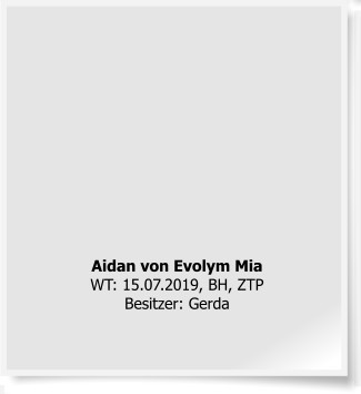 Aidan von Evolym Mia WT: 15.07.2019, BH, ZTPBesitzer: Gerda