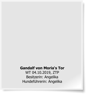 Gandalf von Moria‘s TorWT 04.10.2019, ZTPBesitzerin: AngelikaHundeführerin: Angelika