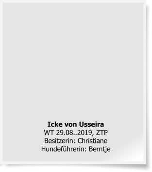 Icke von UsseiraWT 29.08..2019, ZTPBesitzerin: Christiane Hundeführerin: Berntje