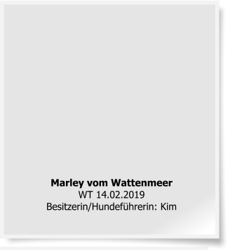 Marley vom WattenmeerWT 14.02.2019 Besitzerin/Hundeführerin: Kim