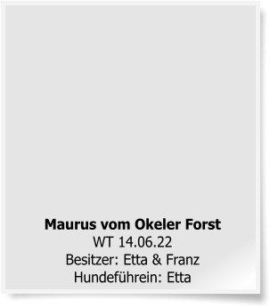 Maurus vom Okeler Forst  WT 14.06.22Besitzer: Etta & FranzHundeführein: Etta