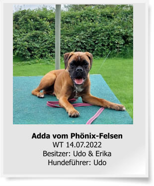 Adda vom Phönix-FelsenWT 14.07.2022Besitzer: Udo & ErikaHundeführer: Udo
