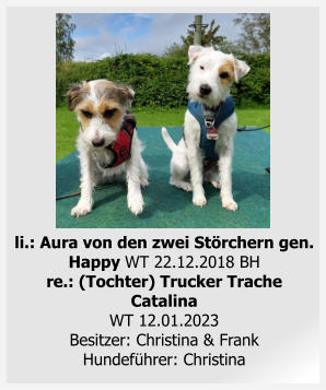 li.: Aura von den zwei Störchern gen. Happy WT 22.12.2018 BHre.: (Tochter) Trucker Trache Catalina WT 12.01.2023Besitzer: Christina & FrankHundeführer: Christina