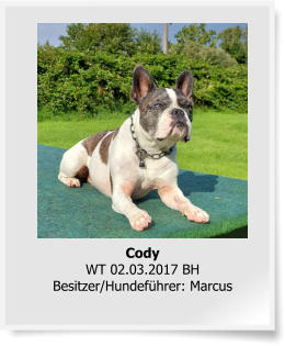 CodyWT 02.03.2017 BHBesitzer/Hundeführer: Marcus